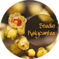 kalyB